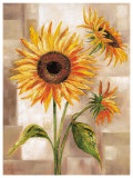 Sunny Day Prints by Rian Withaar