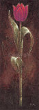 Mystic Tulip Dark Red Poster by Karsten Kirchner