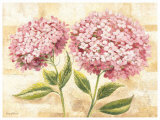 Rose Hydrangea Art by Rian Withaar