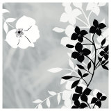 White Shadow Art par Kate Knight