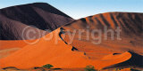 Sossusvlei Red Dunes Prints by Roland Lobig
