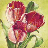 Three Red Tulips Prints by Paula Reed Three Red Tulips Prints by Paula Reed