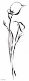 Perfumed Callas Prints by Paul Desny