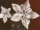 Le Charme Prints by Paula Reed