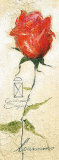 Rose Gabriella Poster by Louissimo 