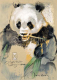 Wildlife Panda Posters by Joadoor 