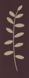 Chocolate Leaf Prints by Paula Aspery