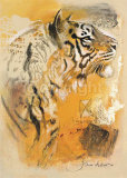 Wildlife Tiger Affiches par Joadoor 