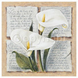 Calla Lily Poetry Prints by Laura Martinelli Calla Lily Poetry Prints by Laura Martinelli