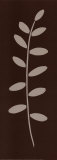 Chocolate Leaf Lámina por Paula Aspery