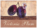Victoria Plum Poster von Steff Green