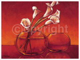 Imagination in Red Láminas por Yves Blanc Imagination in Red Láminas por Yves Blanc