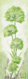 Springtime N.3 Poster di Tomasyn de Winter Springtime N.3 Poster di Tomasyn de Winter