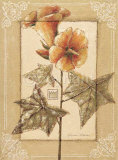 Hibiscus Abelmoschus Prints by Vivien White
