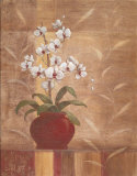 Orchid Obsession I Prints by Vivian Flasch Orchid Obsession I Prints by Vivian Flasch