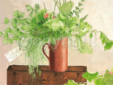 Herbs in a Can Prints by Ina van Toor