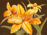 Sunshine Lilies Posters par Steff Green