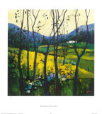 Springtime Galloway Limitierte Auflage von Davy Brown