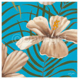 Haiti Print by Steff Green