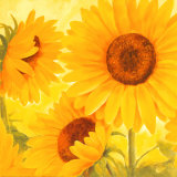 Sun on the Beach Affiches par Susanne Bach