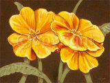 Sunshine Primoses Prints by Steff Green