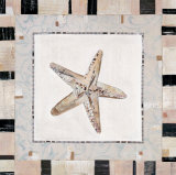 Shell Simplicity II Lámina por Katherine & Elizabeth Pope