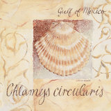 Gulf of Mexico Posters by Maria Woods
