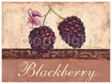 Blackberry Prints by Steff Green