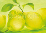 Citron Affiches par Susanne Bach