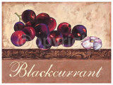 Blackcurrant Affiches par Steff Green