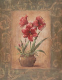 Wanda's Amaryllis II Print by Vivian Flasch