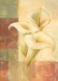 Lilies in Coral Affiches par Fabrice De Villeneuve