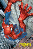 Spider-Man - Climbing Poster
