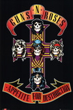 Guns N Roses Posters