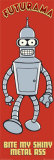 Futurama Pósters Futurama Pósters