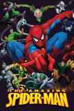 The Amazing Spider-Man Posters