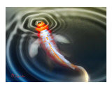 Koi on the Surface Giclee Print by McKenzie