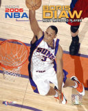 Boris Diaw Photo