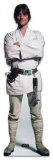 Luke Skywalker PAPPFIGUREN IN LEBENSGRÖSSE