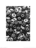Forms of Technology II, c.1955 Prints by Arvid Gutschow