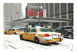 Madison Square Garden Stampe di Igor Maloratsky Madison Square Garden Stampe di Igor Maloratsky