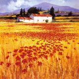 Poppies Art by Steve Thoms