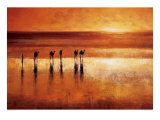 Camel Crossing Prints by Jonathan Sanders