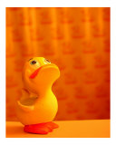 Happy Little Duckie Photographie par Steven Myers