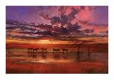African Sunset Posters por Jonathan Sanders