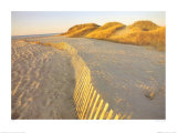 Long Island, New York Affiches par J. Darblay
