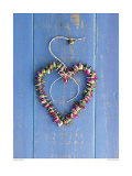 Boutons de Roses Poster by Howard Shooter