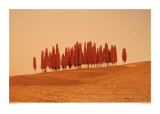 Sunset, Tuscany Poster by W. Krecichwost