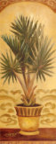 Tuscan Palm II Poster by Shari White