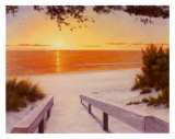 Evening Sunset Stampe di Diane Romanello Evening Sunset Stampe di Diane Romanello